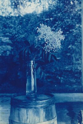 An Old Fashioned Garden