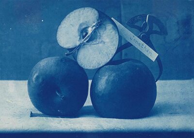Apple-Jonathan