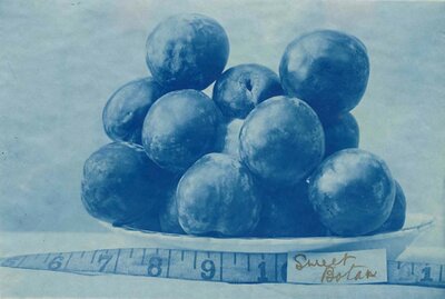 Sweet Botan Plums