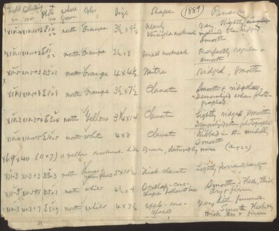 The Pumpkins of 1889, Guide to notes in the photographic scrapbook