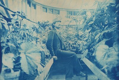 Liberty Hyde Bailey in the Sage College Conservatory (self-portrait)