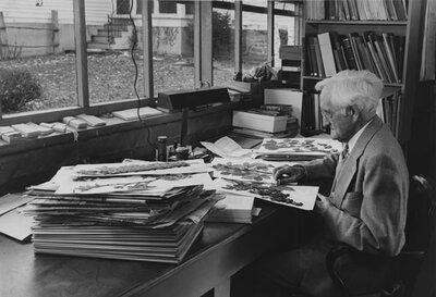 Liberty Hyde Bailey with a Rubus specimen
