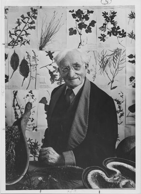 Liberty Hyde Bailey with Hortorium Specimens