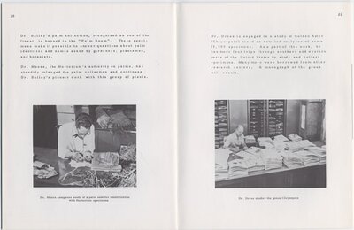 Liberty Hyde Bailey Hortorium brochure