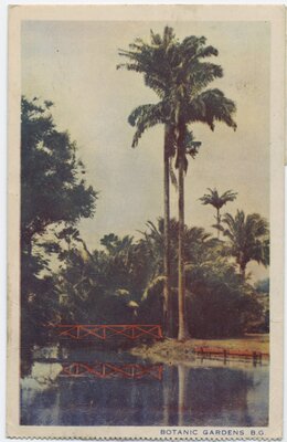 Postcard to Horace McFarland