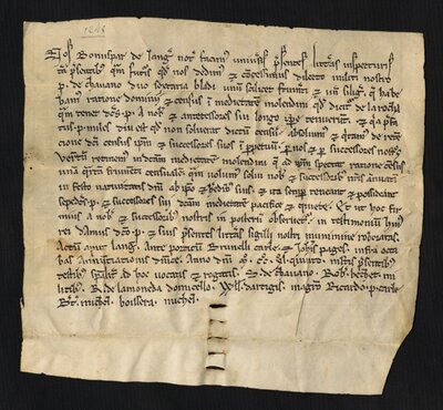 Medieval Record of Property