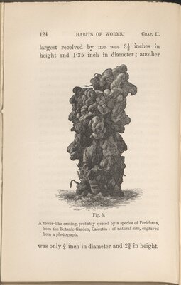 The Formation of Vegetable Mould, Through the Action of Worms, with Observations on their Habits