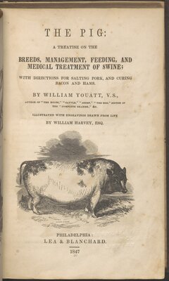 The Pig: a Treatise