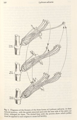 The Collected Papers of Charles Darwin