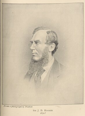 Joseph Dalton Hooker (1817-1911)