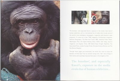 Kanzi, the Talking Bonobo