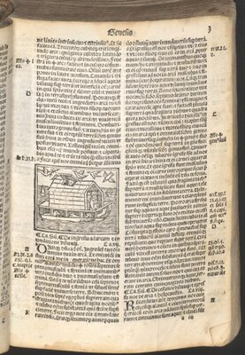 Latin Bible