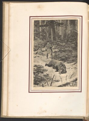 The Wilderness Hunter