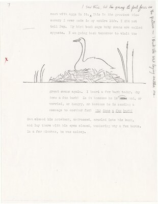 Trumpet of the Swan