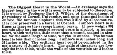 American Medicine