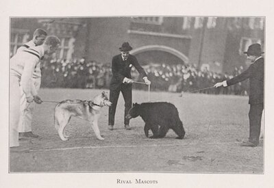 "Rival Mascots"