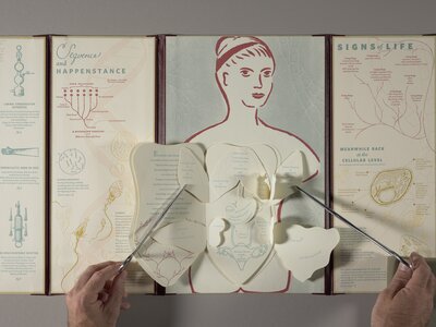 Body of Inquiry: A Triptych Opening to a Corporeal Codex