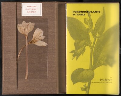 Poisonous Plants at Table