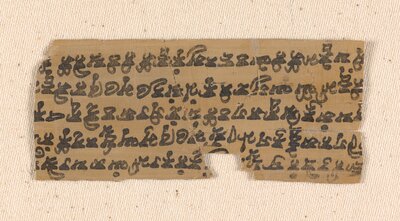 Buddhist fragments on birch bark and palm leaf