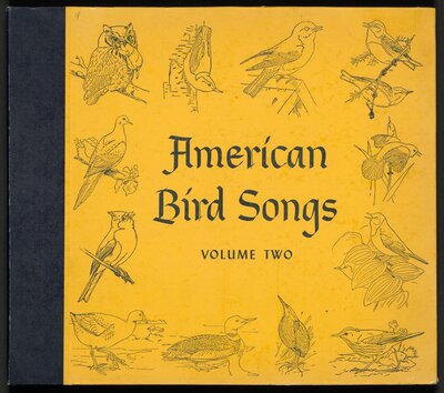 American Bird Songs, v. 2