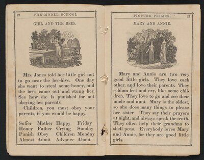 The Model School Picture Primer