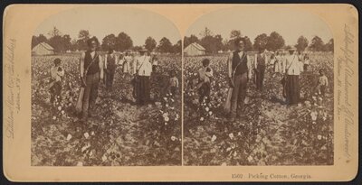 "Picking Cotton, Georgia"