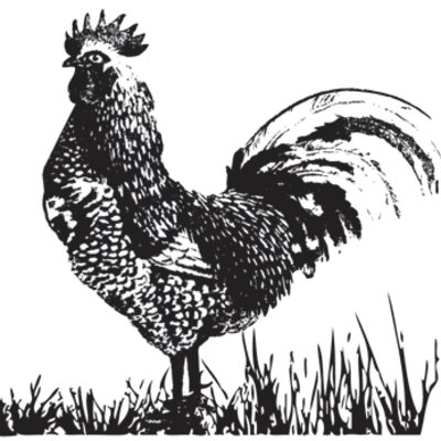 Backyard Revival: American Heritage Poultry
