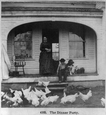 Chickens and Folks on a Porch