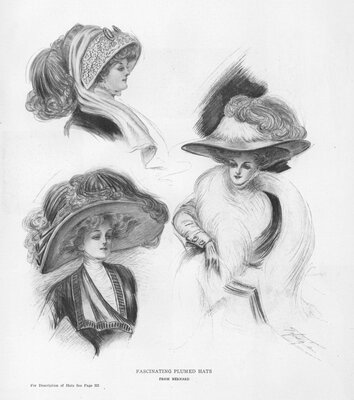 Advertisement for plumed hats
