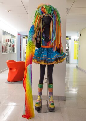 Rainbow Raver in the Human Ecology Lounge
