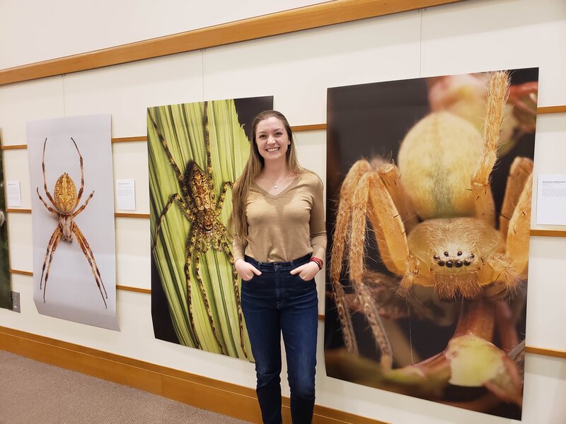 Student Kristianna Lea was a great help on the Spiders: From Fear to Fascination exhibit
