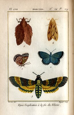 Histoire Naturelle, Générale et Particulière des Crustacés et des Insectes, by Pierre-André Latreille, Paris, 1802-05