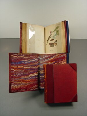 Beiträge zur Geschichte Europäischer Schmetterlinge: mit Abbildungen nach der Natur, by C. F. Freyer, Augsburg, 1828-30
