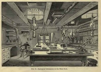 Zoological Laboratory on the Main Deck