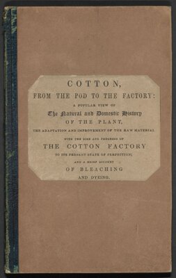 Cotton, From the Pod to the Factory