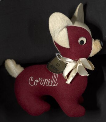 "Lil Herbie" Cornell mascot. Circa 1940-1950.