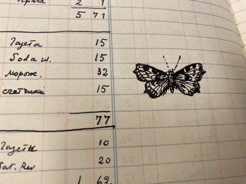 Account Book Doodle: Nymphalidae