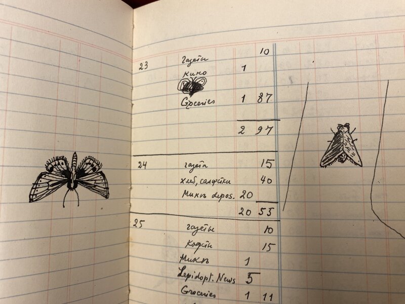 Account Book Doodle: Lycaenidae