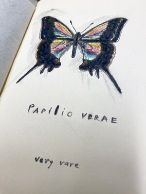 "Papiio verae" 