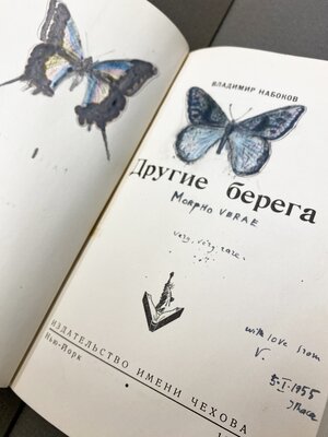 "Morpho verae" 