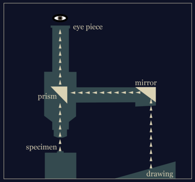 Camera Lucida Diagram