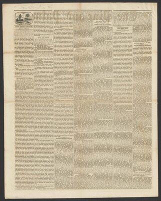 The Pine and palm - June 19, 1862 (2 of 4)