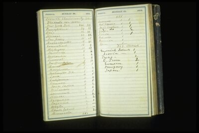 Ezra Cornell's Pocket Diary.