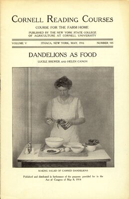 Dandelions As Food